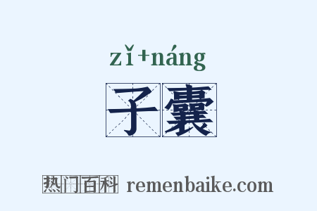 子囊是什么意思的图片